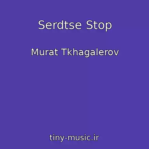 کاور آهنگ Serdtse Stop از Murat Tkhagalerov