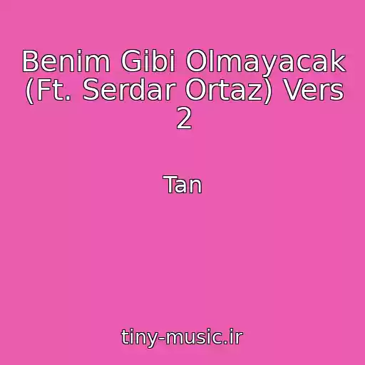 کاور آهنگ Benim Gibi Olmayacak (Ft. Serdar Ortaz) Vers 2 از Tan