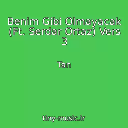 کاور آهنگ Benim Gibi Olmayacak (Ft. Serdar Ortaz) Vers 3 از Tan