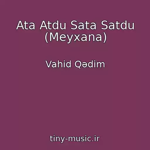 کاور آهنگ Ata Atdu Sata Satdu (Meyxana) از Vahid Qədim