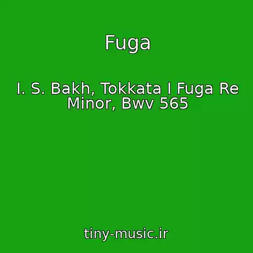 کاور آهنگ Fuga از I. S. Bakh, Tokkata I Fuga Re Minor, Bwv 565