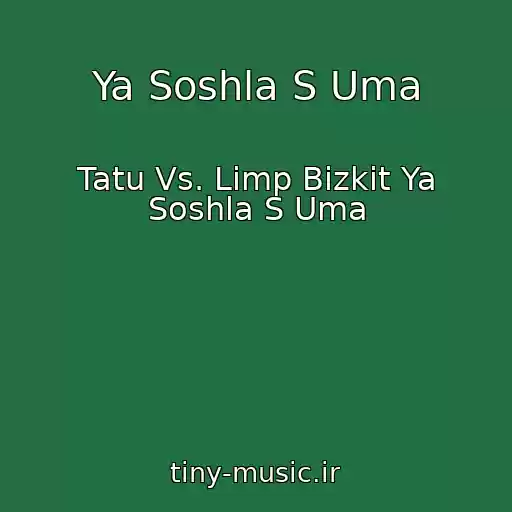 کاور آهنگ Ya Soshla S Uma از Tatu Vs. Limp Bizkit Ya Soshla S Uma