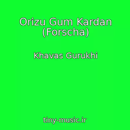 کاور آهنگ Orizu Gum Kardan (Forscha) از Khavas Gurukhi