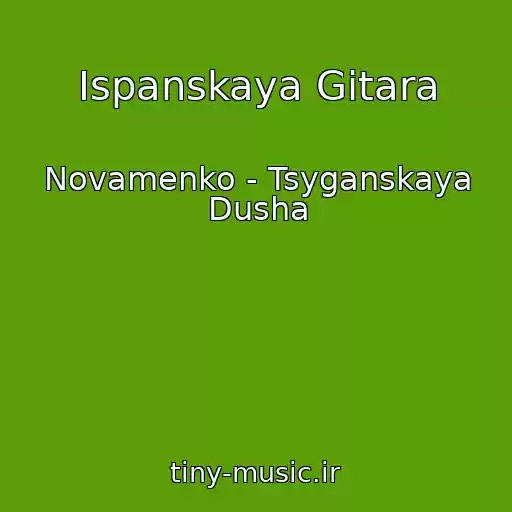 کاور آهنگ Ispanskaya Gitara از Novamenko - Tsyganskaya Dusha