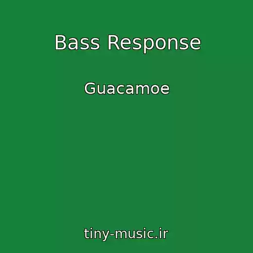 کاور آهنگ Bass Response از Guacamoe