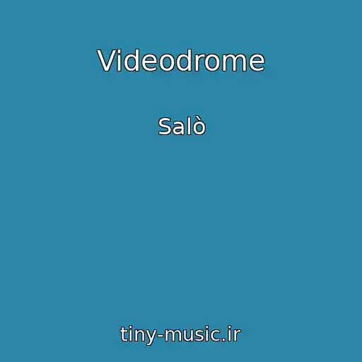 کاور آهنگ Videodrome از Salò