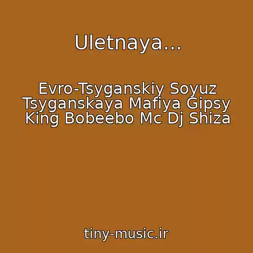 کاور آهنگ Uletnaya... از Evro-Tsyganskiy Soyuz Tsyganskaya Mafiya Gipsy King Bobeebo Mc Dj Shiza