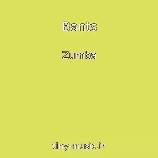 کاور آهنگ Bants از Zumba