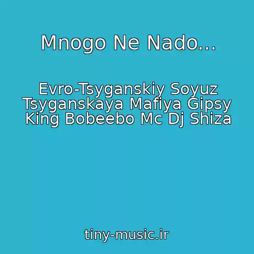 کاور آهنگ Mnogo Ne Nado... از Evro-Tsyganskiy Soyuz Tsyganskaya Mafiya Gipsy King Bobeebo Mc Dj Shiza