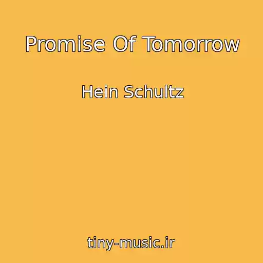 کاور آهنگ Promise Of Tomorrow از Hein Schultz