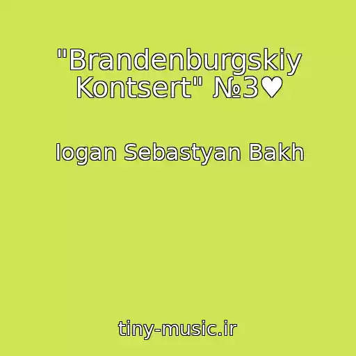 کاور آهنگ "Brandenburgskiy Kontsert" №3♥ از Iogan Sebastyan Bakh
