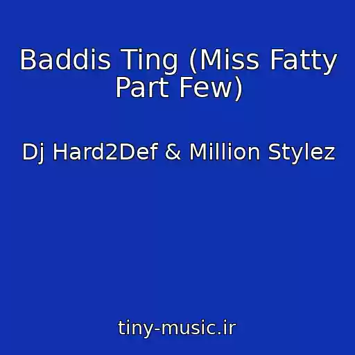 کاور آهنگ Baddis Ting (Miss Fatty Part Few) از Dj Hard2Def & Million Stylez