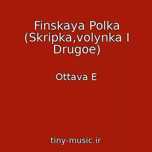 کاور آهنگ Finskaya Polka (Skripka,volynka I Drugoe) از Ottava E