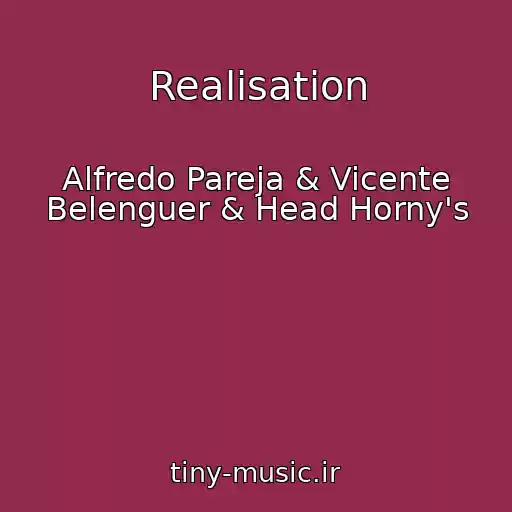 کاور آهنگ Realisation از Alfredo Pareja & Vicente Belenguer & Head Horny's