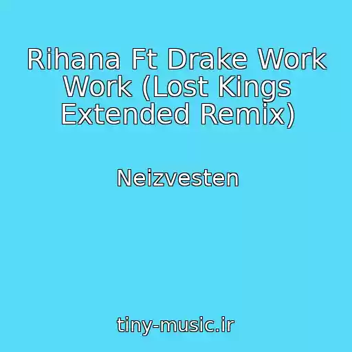 کاور آهنگ Rihana Ft Drake Work Work (Lost Kings Extended Remix) از Neizvesten
