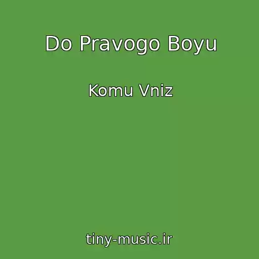کاور آهنگ Do Pravogo Boyu از Komu Vniz