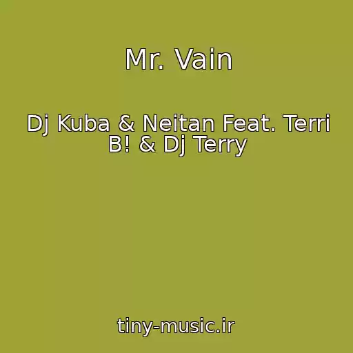 کاور آهنگ Mr. Vain از Dj Kuba & Neitan Feat. Terri B! & Dj Terry