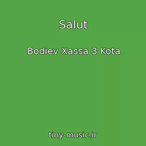 کاور آهنگ Salut از Bodiev Xassa 3 Kota