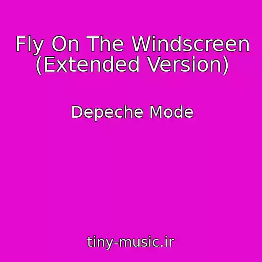 کاور آهنگ Fly On The Windscreen (Extended Version) از Depeche Mode