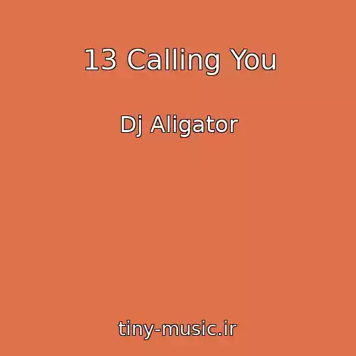 کاور آهنگ 13 Calling You از Dj Aligator