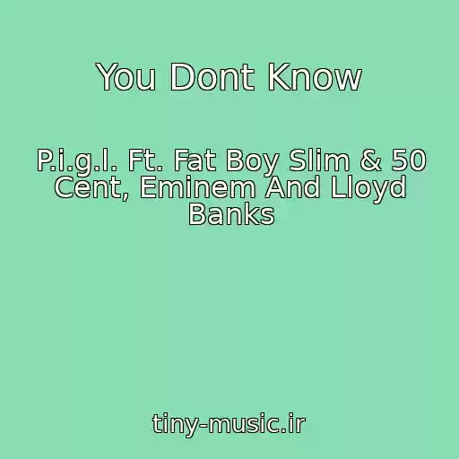 کاور آهنگ You Dont Know از P.i.g.l. Ft. Fat Boy Slim & 50 Cent, Eminem And Lloyd Banks