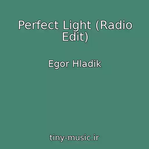 کاور آهنگ Perfect Light (Radio Edit) از Egor Hladik