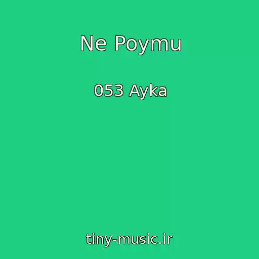 کاور آهنگ Ne Poymu از 053 Ayka