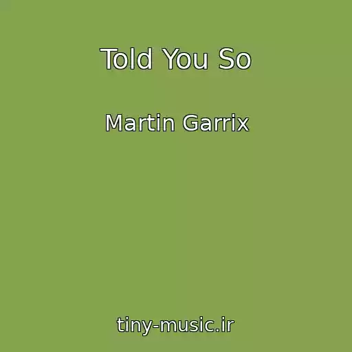 کاور آهنگ Told You So از Martin Garrix