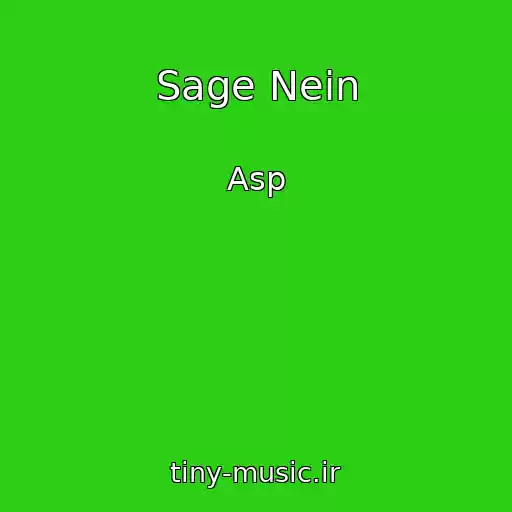 کاور آهنگ Sage Nein از Asp