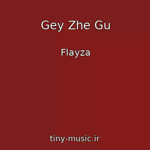 کاور آهنگ Gey Zhe Gu از Flayza