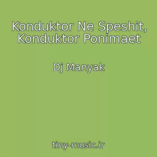 کاور آهنگ Konduktor Ne Speshit, Konduktor Ponimaet از Dj Manyak