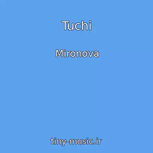 کاور آهنگ Tuchi از Mironova