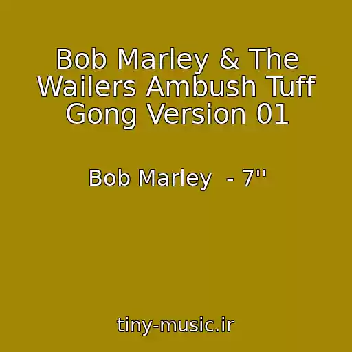کاور آهنگ Bob Marley & The Wailers Ambush Tuff Gong Version 01 از Bob Marley  - 7''