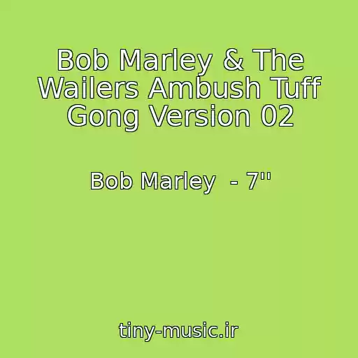 کاور آهنگ Bob Marley & The Wailers Ambush Tuff Gong Version 02 از Bob Marley  - 7''