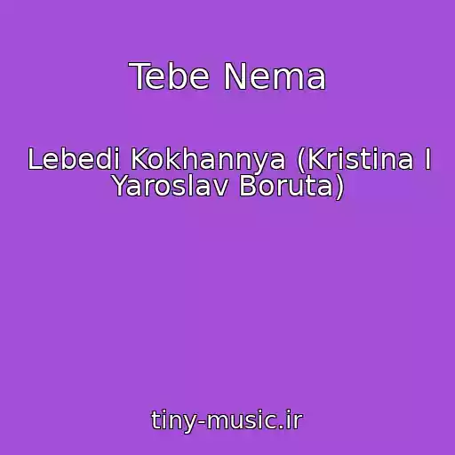 کاور آهنگ Tebe Nema از Lebedі Kokhannya (Kristina I Yaroslav Boruta)