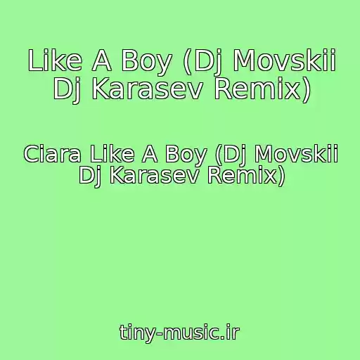 کاور آهنگ Like A Boy (Dj Movskii Dj Karasev Remix) از Ciara Like A Boy (Dj Movskii Dj Karasev Remix)