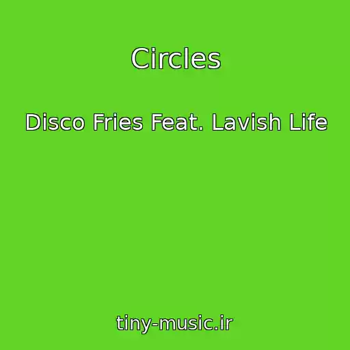 کاور آهنگ Circles از Disco Fries Feat. Lavish Life