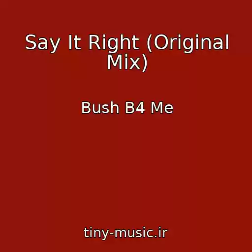 کاور آهنگ Say It Right (Original Mix) از Bush B4 Me