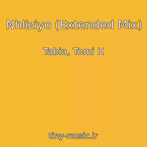 کاور آهنگ Nhliziyo (Extended Mix) از Tabia, Tomi H