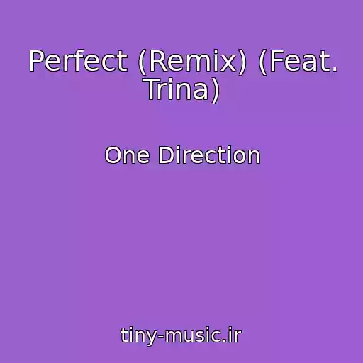 کاور آهنگ Perfect (Remix) (Feat. Trina) از One Direction