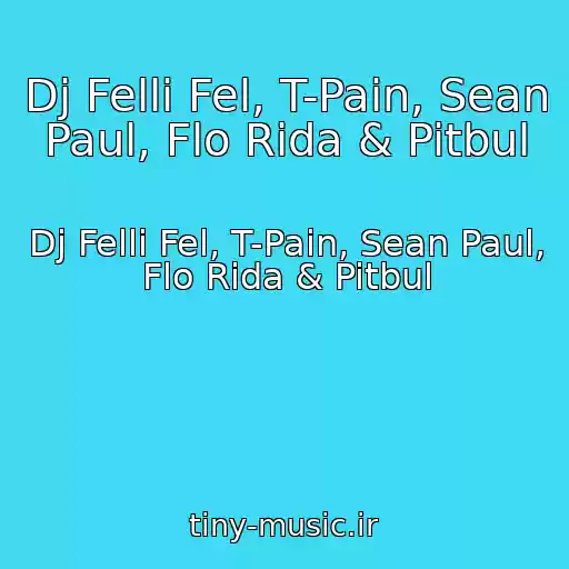 کاور آهنگ Dj Felli Fel, T-Pain, Sean Paul, Flo Rida & Pitbul از Dj Felli Fel, T-Pain, Sean Paul, Flo Rida & Pitbul