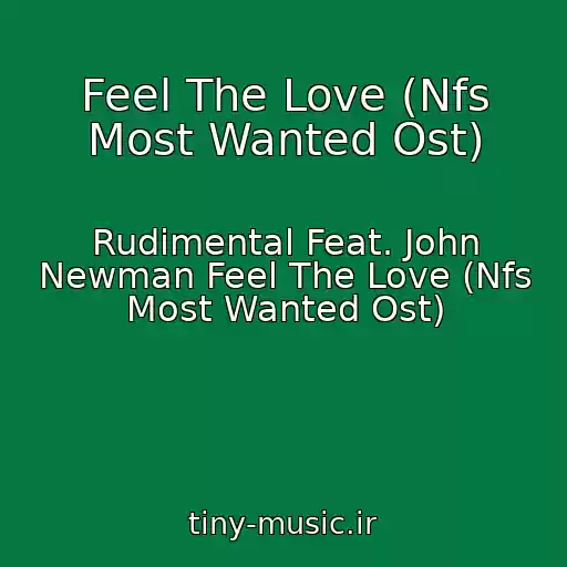 کاور آهنگ Feel The Love (Nfs Most Wanted Ost) از Rudimental Feat. John Newman Feel The Love (Nfs Most Wanted Ost)