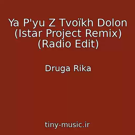 کاور آهنگ Ya P'yu Z Tvoїkh Dolon (Istar Project Remix) (Radio Edit) از Druga Rіka