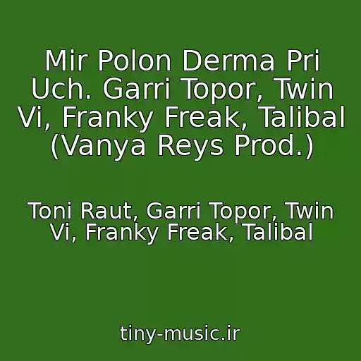 کاور آهنگ Mir Polon Derma Pri Uch. Garri Topor, Twin Vi, Franky Freak, Talibal (Vanya Reys Prod.) از Toni Raut, Garri Topor, Twin Vi, Franky Freak, Talibal