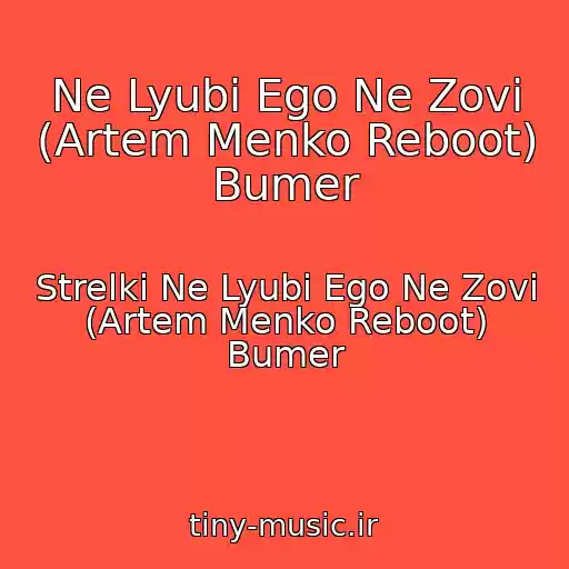 کاور آهنگ Ne Lyubi Ego Ne Zovi (Artem Menko Reboot) Bumer از Strelki Ne Lyubi Ego Ne Zovi (Artem Menko Reboot) Bumer