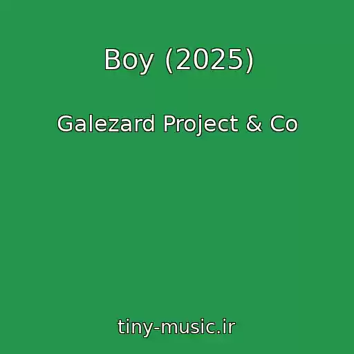 کاور آهنگ Boy (2025) از Galezard Project & Co