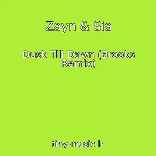 کاور آهنگ Zayn & Sia از Dusk Till Dawn (Brooks Remix)