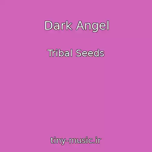 کاور آهنگ Dark Angel از Tribal Seeds