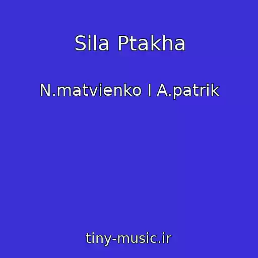 کاور آهنگ Sila Ptakha از N.matvienko I A.patrik