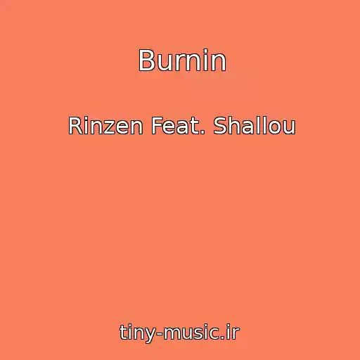 کاور آهنگ Burnin از Rinzen Feat. Shallou